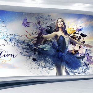 wall-murals